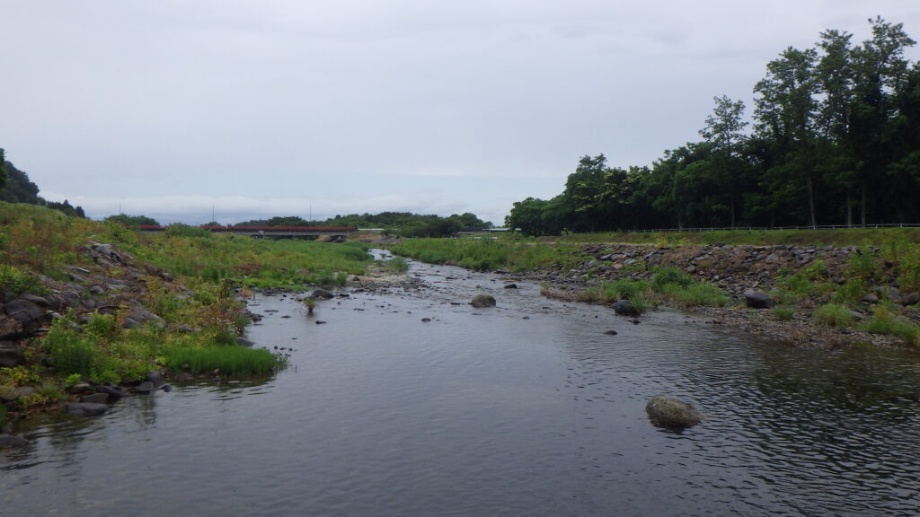 梅雨の候