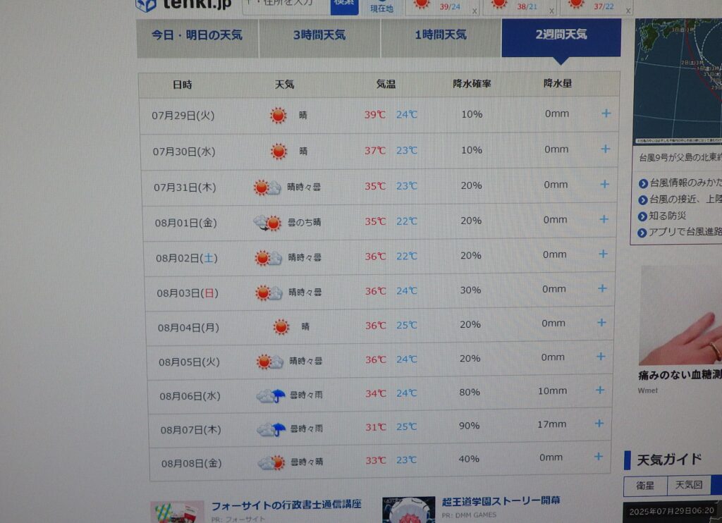 週間天気予報