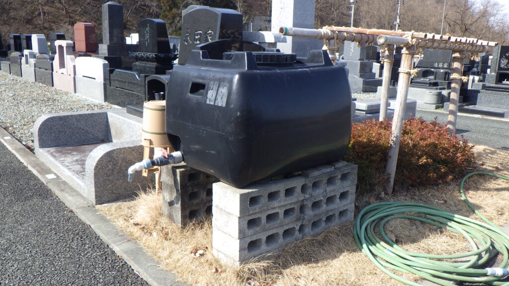 盃山のニホンカモシカ