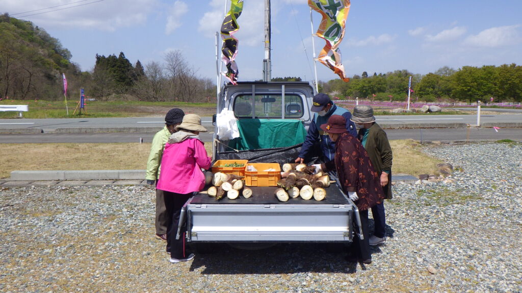 筍はいかがですか！