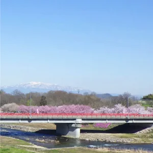 Instagram投稿のイメージ
