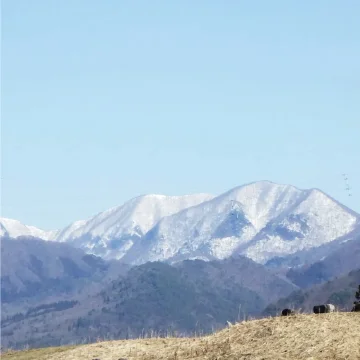 Instagram投稿のイメージ
